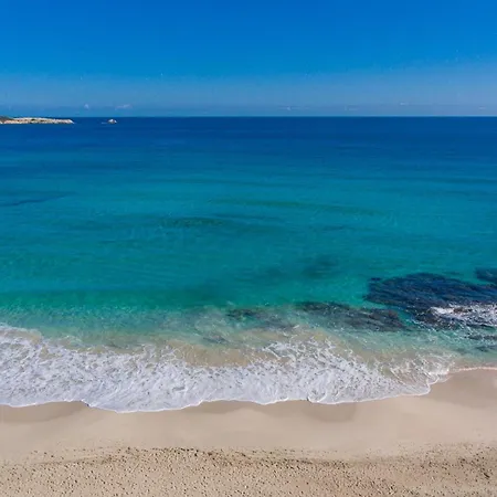 Ponent A 칼라 라트자다